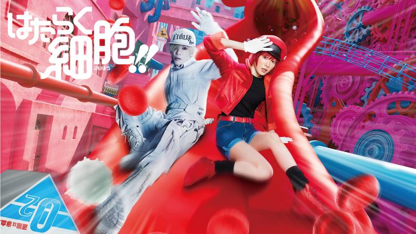 Hataraku Saibou Hataraku Saibou